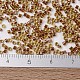 MIYUKI Delica Beads SEED-X0054-DB1703-4