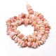 Morganite naturelle perles de puce brins G-E271-85-2
