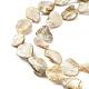 Handmade Natural Shell Beads Strands X-PBB471-1-3