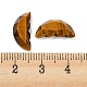 Cabochons naturels d'aile de papillon d'oeil de tigre G-D078-02A-3