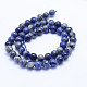 Natural Sodalite Beads Strands G-F530-05-8mm-2