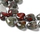 Natural African Bloodstone Beads Strands G-E614-A19-01-3
