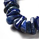 Natural Lapis Lazuli Beads Strands G-B026-04-3