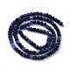 Natural Sodalite Beads Strands G-K315-B09-4