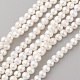 Natural Cultured Freshwater Pearl Beads Strands PEAR-G007-28-1