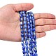 Chapelets de perles en lapis-lazuli naturel G-K311-10B-03-2