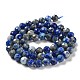 Chapelets de perles en lapis-lazuli naturel G-J400-E10-06-3