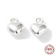 925 Sterling Silver Charms STER-H106-01D-S-1