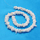 Natural Sea Shell Chips Beads Strands X-BSHE-Q024-02-2