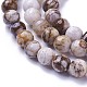 Chapelets de perles en bois pétrifié amérique naturelle G-P430-15-B-3