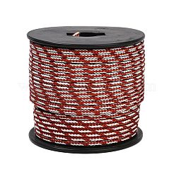 Fils tressés en acier inoxydable 304 recouverts de nylon de 40 m&nbsp;TWIR-P002-01B-02