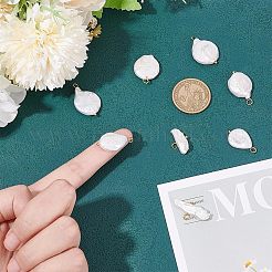 8шт 4 стиля барокко подвески из натурального жемчуга кеши&nbsp;PALLOY-AB00030