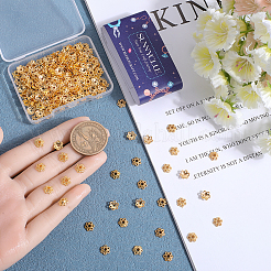 300 шт. колпачки для бусин из сплава&nbsp;PALLOY-SC0004-38