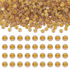 50g leuchtende transparente Acrylperlen&nbsp;OACR-TAD0001-01M