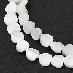 Нити бусин из натуральных трохоидных/трохус ракушек&nbsp;SSHEL-K012-04A