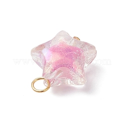 Подвески из акрила с абс-пластиком&nbsp;PALLOY-JF04503-02