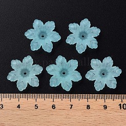 Прозрачные акриловые бусины&nbsp;MACR-S373-117-D07