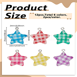 12шт 6 цвета прозрачные подвески из смолы&nbsp;KY-LP0001-38