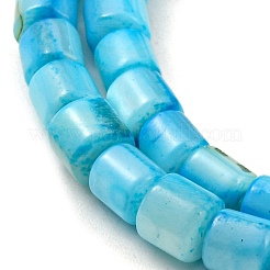 Naturali di acqua dolce perline shell fili&nbsp;SHEL-F008-04D