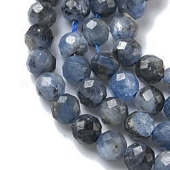 Натуральные нити из кианита / цианита / дистенового бисера&nbsp;G-L651-C02-4mm