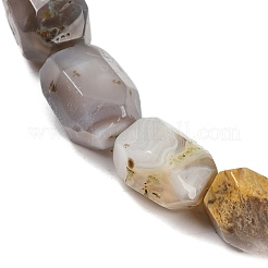 Природные Ботсвана агат бисер нитей&nbsp;G-F796-C03-01