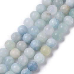 Chapelets de perles en aigue-marine naturelle, mat, ronde, 10mm, Trou: 1.2mm, Environ 40 pcs/chapelet, 15.28'' (38.8 cm)