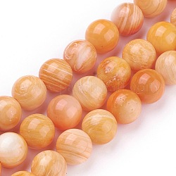Нити бусин из ракушек, круглые, окрашенные, оранжевые, 8 мм, отверстие : 0.8 мм, около 50 шт / нитка, 15.9 дюйм (40.5 см)