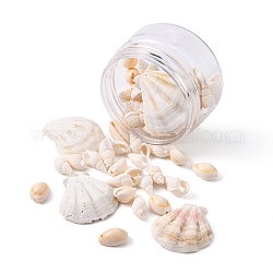 54 Stück naturgefärbtes Jakobsmuschel-Perlen-Set, Muschel Perlen, Trompete Shell, Kaurimuschel, Mischfarbe, 39~43x37~42x6~7 mm, Bohrung: 2 mm, 3 Stile