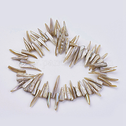 Chapelets de perles de coquillage naturel, bâton de pépite, Pérou, 22~40x5~9x1mm, Trou: 1mm, Environ 80 pcs/chapelet, 14.56 pouce (37 cm)