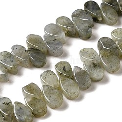 Chapelets de perles en labradorite naturelle , larme, top foré, 9~10x5~5.5x3.5~4mm, Trou: 0.7mm, Environ 40~48 pcs/chapelet, 7.09~7.28'' (18~18.5cm).