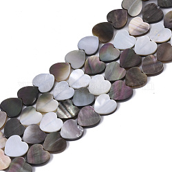 Fili di perline conchiglia nera naturale, cuore, 8x8x1.5mm, Foro: 0.8 mm, circa 53pcs/filo, 16.54 pollice (42 cm)