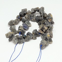 Natural Labradorite Beads Strands, Nuggets, 12~19x15~20x5~9mm, Hole: 1mm, 15.4inch