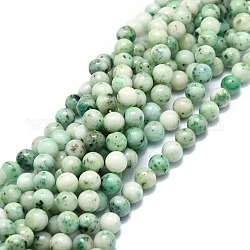 Natur Chrysokoll Perlen Stränge, Runde, 8.5 mm, Bohrung: 1 mm, ca. 48 Stk. / Strang, 15.55'' (39.5 cm)