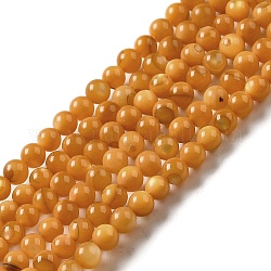Eau douce naturelle de coquillage perles brins, ronde, teinte, verge d'or, 3mm, Trou: 0.5mm, Environ 124~132 pcs/chapelet, 14.96'' (38 cm)