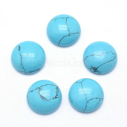 Synthetic Turquoise Cabochons, Half Round, 14~14.5x6mm