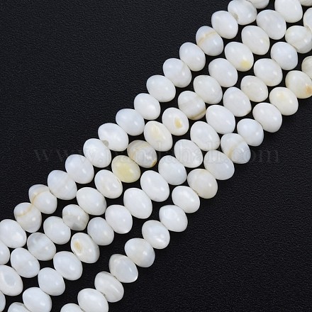 Eau douce naturelle de coquillage perles brins SHEL-G013-03B-1
