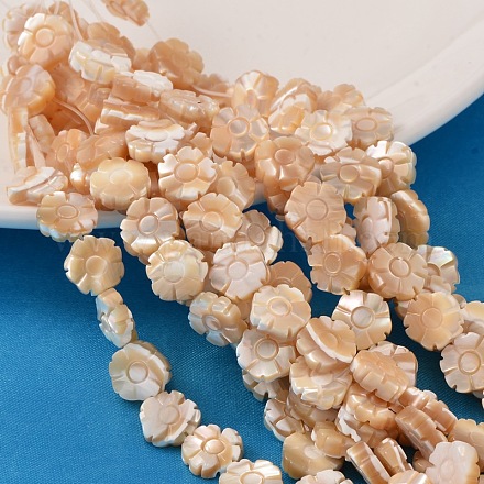 Natural Sea Shell Beads Strands X-SSHEL-10X10-1-1