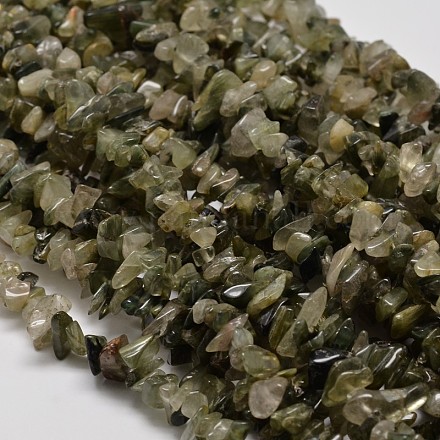 Natural Moss Agate Chip Beads Strands G-L269-23-1