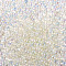 Bubble Beads, DIY 3D Nail Art Decoration Mini Glass Beads, Tiny Caviar Nail Beads, Clear AB, 1~3mm