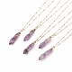 Double Pointed Natural Amethyst Pendant Necklace NJEW-JN03720-02-2