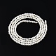 Brins de perles de coquillage blanc naturel SSHEL-N003-144A-01-2