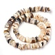Freshwater Shell Beads Strands BSHE-O017-09-2