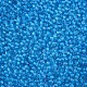Perline di semi di vetro rotonde di grado 11/0 SEED-N001-D-221-2