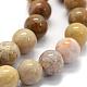 Natural Fossil Coral Beads Strands G-G763-12-8mm-6