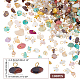 HOBBIESAY 200Pcs Natural Mixed Stones Chrams 8-10mm Agate Crystal Stones Charms with Golden Tones Brass Loops Chip Semi-precious Gemstones Pendant for Jewelry Making Necklace FIND-HY0001-43-2