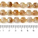 Natürlichen Citrin Perlen Stränge G-Q010-A24-01-5