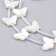 Natural White Shell Mother of Pearl Shell Beads SSHEL-L018-013-2