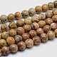 Natural Chrysanthemum Stone Beads Strands G-I131-23-6mm-1
