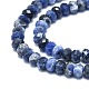 Natural Sodalite Beads Strands G-F715-097-3