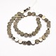 Flat Round Natural Pyrite Beads Strands G-I125-19A-2